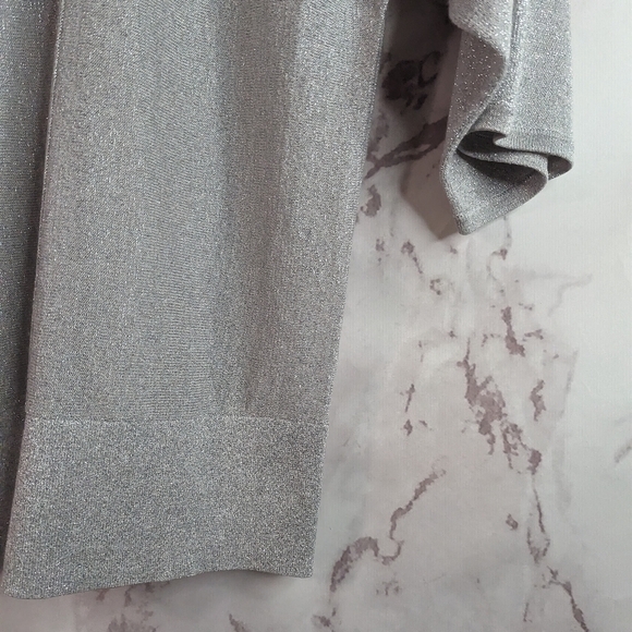 Talbots Short Sleeve Sweater Size Small Silver Sparkle Shimmer Metallic Knit Top - Picture 4 of 11